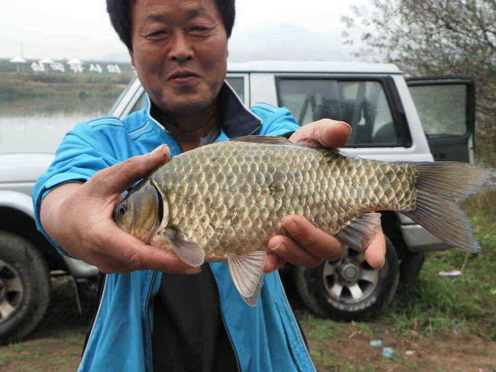 장천쪽 저수지들 (조황조행기 - 낚시점조황)