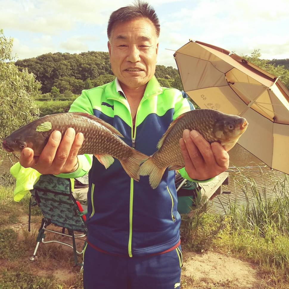 충주탄금호낚시조황 (조황조행기 - 낚시점조황)