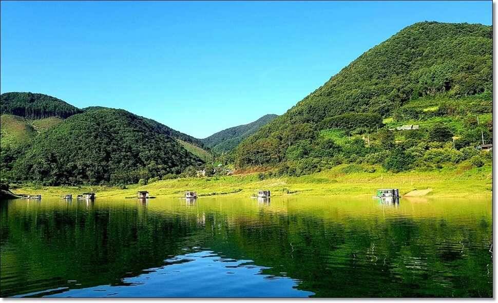 윤4짜대물김기호대물대물장어 (조황조행기 - 낚시점조황)