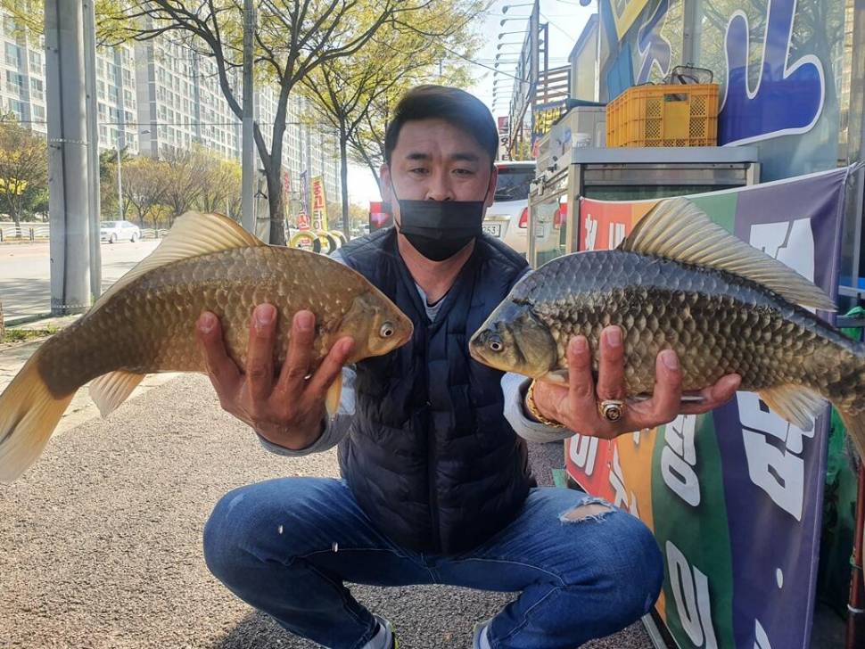 경북권구미권 4월3주차 조황정보 (조황조행기 - 낚시점조황)