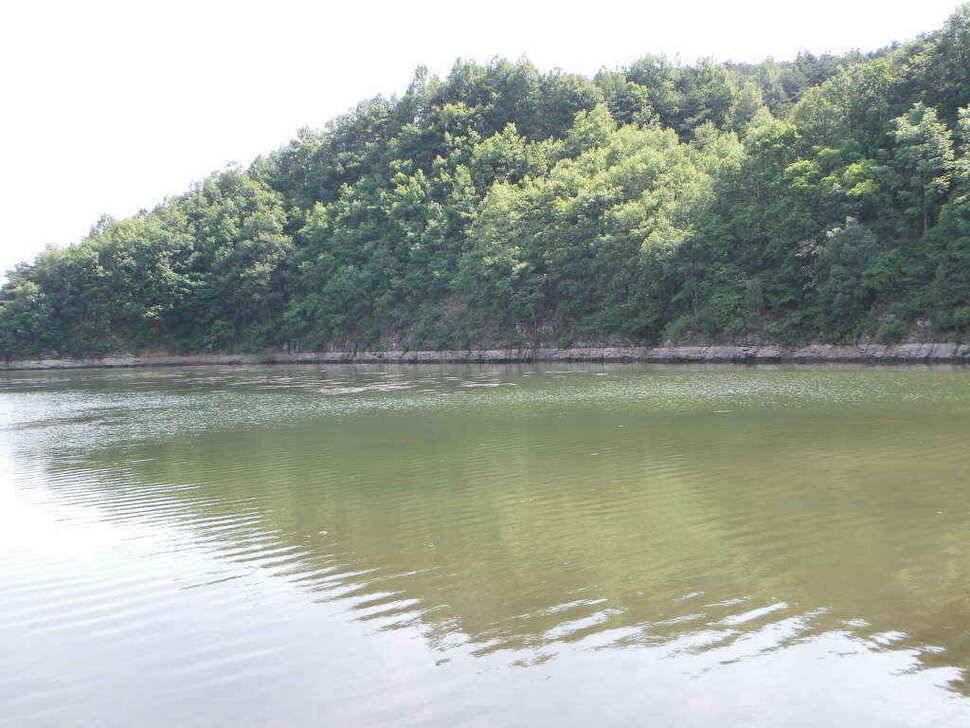 도전해 볼만한 저수지입니다 회원분들 참고하시길 (조황조행기 - 낚시점조황)