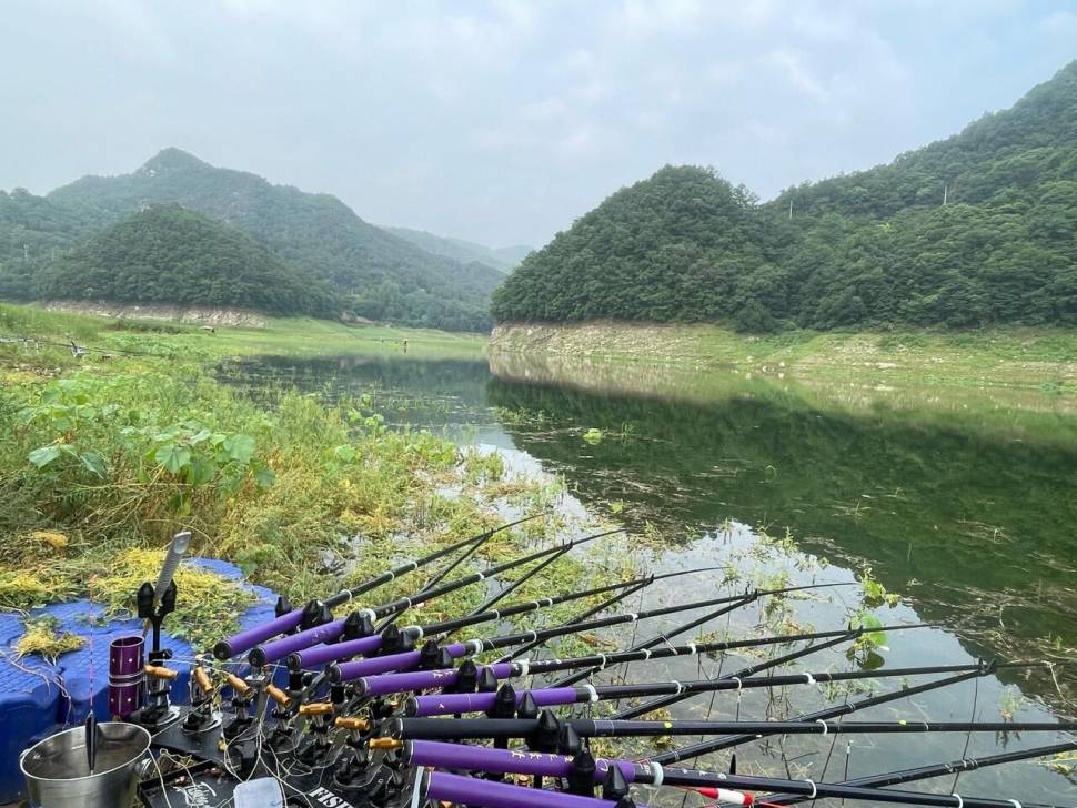 청풍호 노지 주말 모습입니다 (조황조행기 - 낚시점조황)