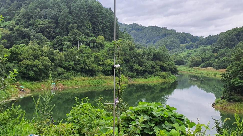 청풍호 노지 소식입니다 (조황조행기 - 낚시점조황)