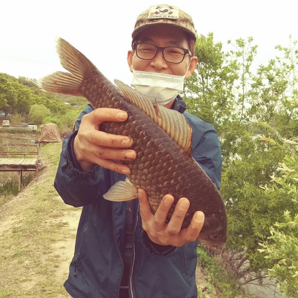 충주탄금호낚시 대물44cm조황 (조황조행기 - 낚시점조황)