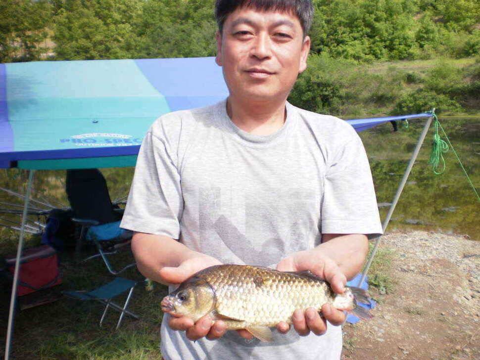 예기치못한 기대속에 올라온36cm의 월척붕어 (조황조행기 - 낚시점조황)