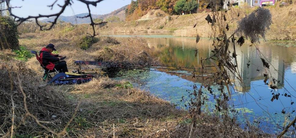 경북권 구미권 붕어빙어 2021년 마지막 조황정보 (조황조행기 - 낚시점조황)