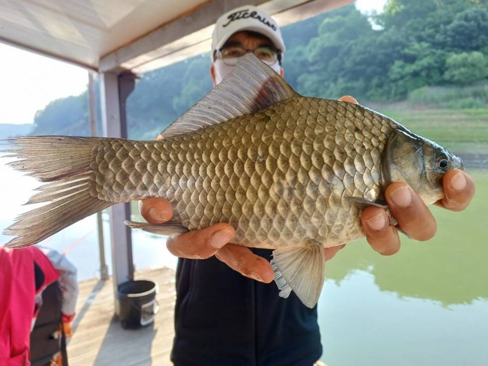 제일허리급월척윤낚시월척 (조황조행기 - 낚시점조황)