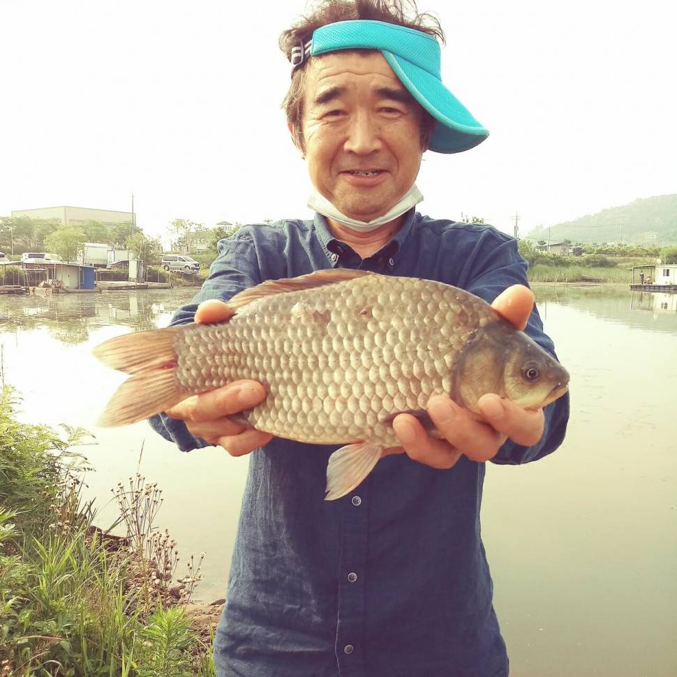 충주탄금호낚시조황 (조황조행기 - 낚시점조황)