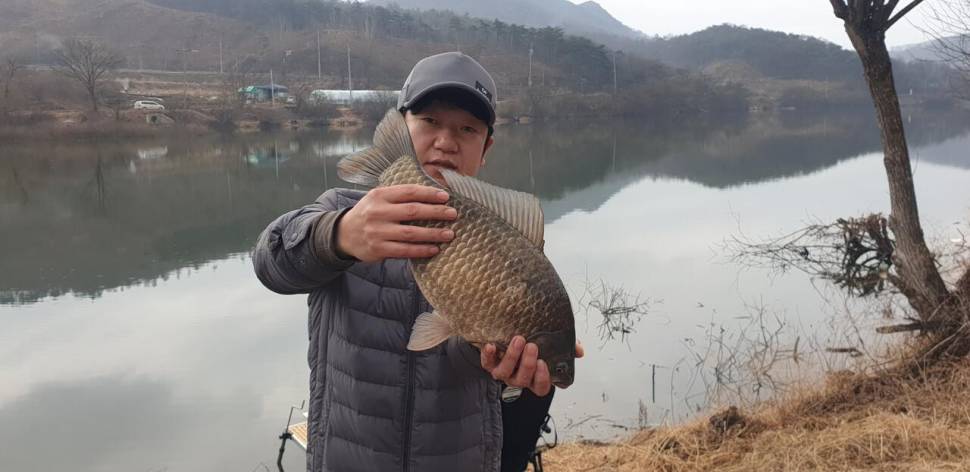 매전지43 올해청붕어 첫사짜 (조황조행기 - 낚시점조황)