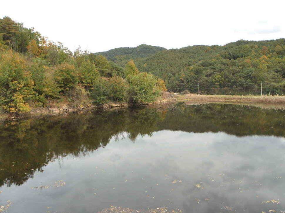 장천쪽 저수지들 (조황조행기 - 낚시점조황)