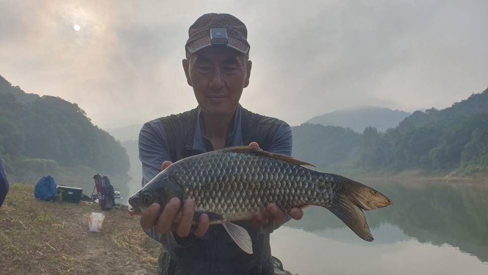 청풍호 노지 호조황 소식 (조황조행기 - 낚시점조황)