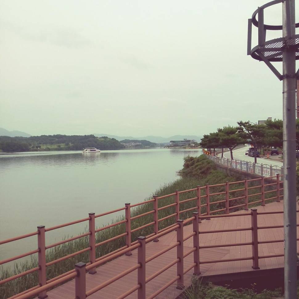 충주탄금호낚시조황 (조황조행기 - 낚시점조황)