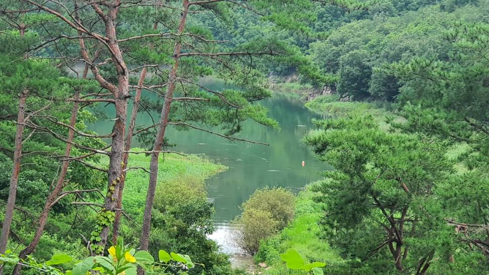 청풍호 노지 소식입니다 (조황조행기 - 낚시점조황)