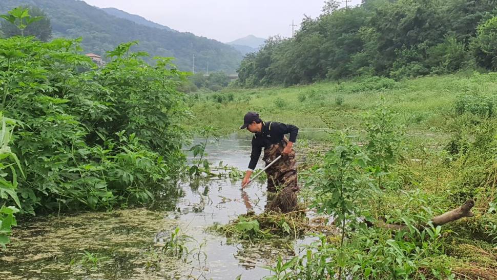 청풍호노지 허리급4짜 소식입니다 (조황조행기 - 낚시점조황)