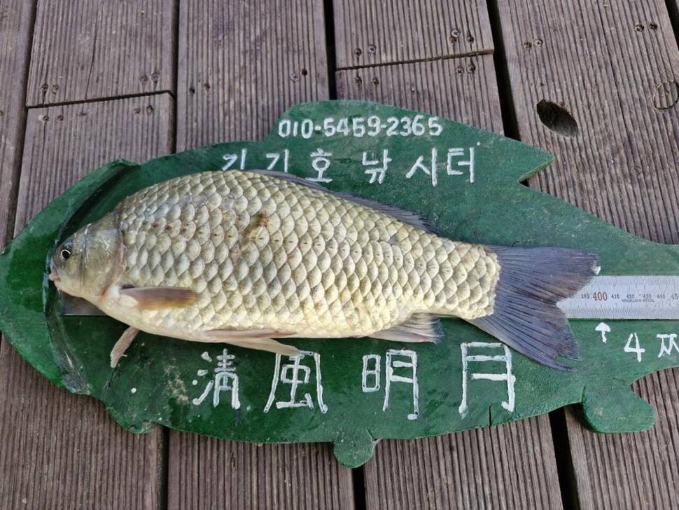 김기호낚시터4짜4짜4짜 (조황조행기 - 낚시점조황)