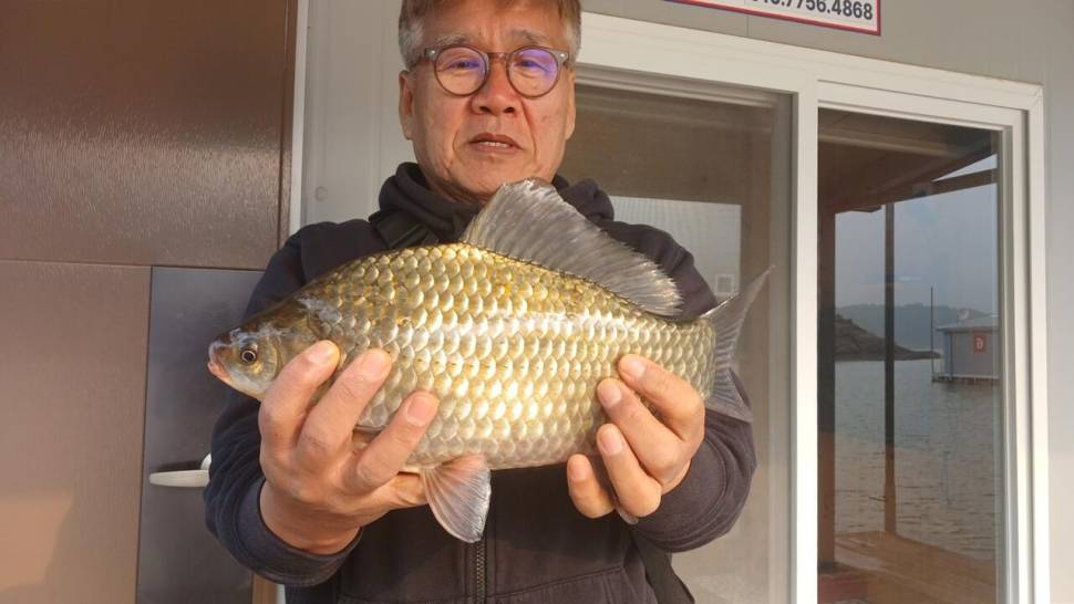 충주호키다리제일 허리급월척 (조황조행기 - 낚시점조황)