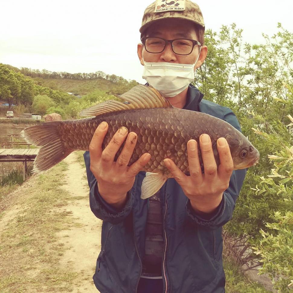충주탄금호낚시 대물44cm조황 (조황조행기 - 낚시점조황)