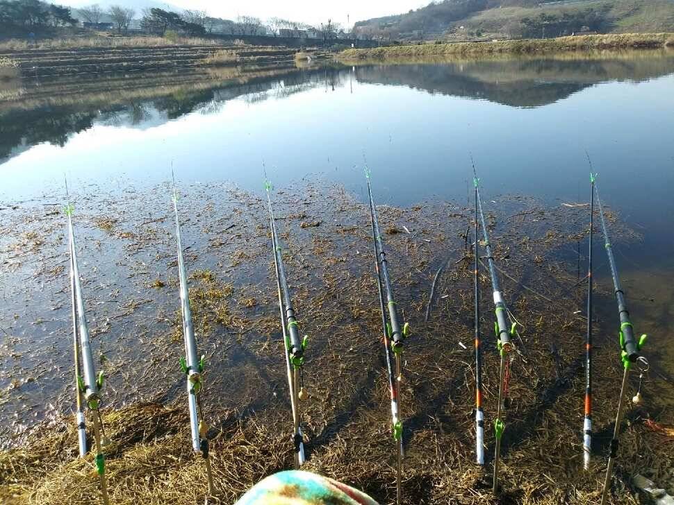 날씨가 따듯해지려나 봅니다 창녕권 조황입니다 (조황조행기 - 낚시점조황)