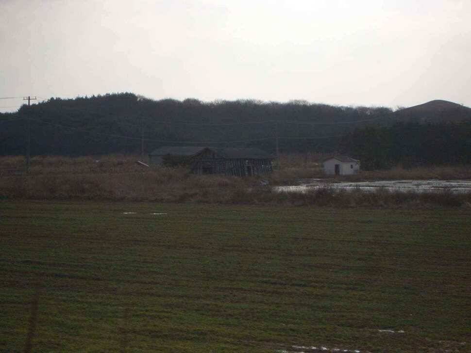 서태안 안면도권 1월 29일 민물조황 (조황조행기 - 낚시점조황)
