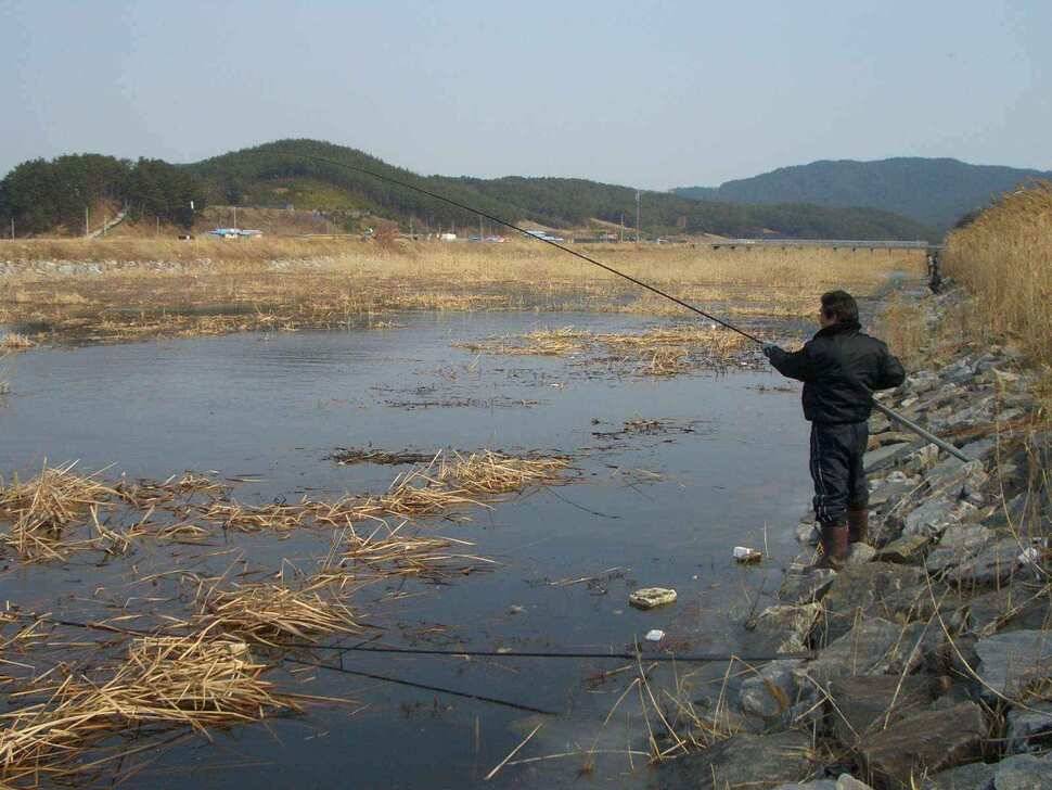 서태안 저수지 수로권 2월 24일 조황 (조황조행기 - 낚시점조황)