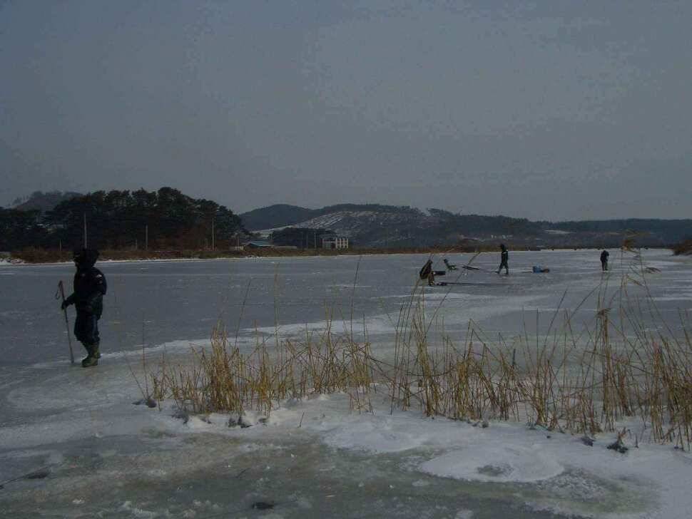 새해 첫 얼음낚시 다녀왔네여 20110101 (조황조행기 - 낚시점조황)