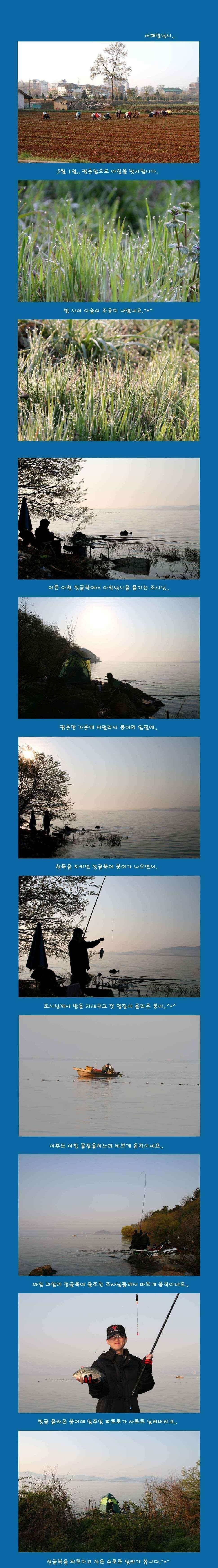평온한 5월 (조황조행기 - 낚시점조황)