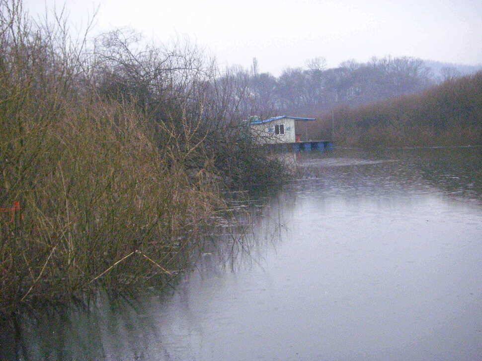 덩치 큰 4자 떡붕어 보세요 (조황조행기 - 낚시점조황)