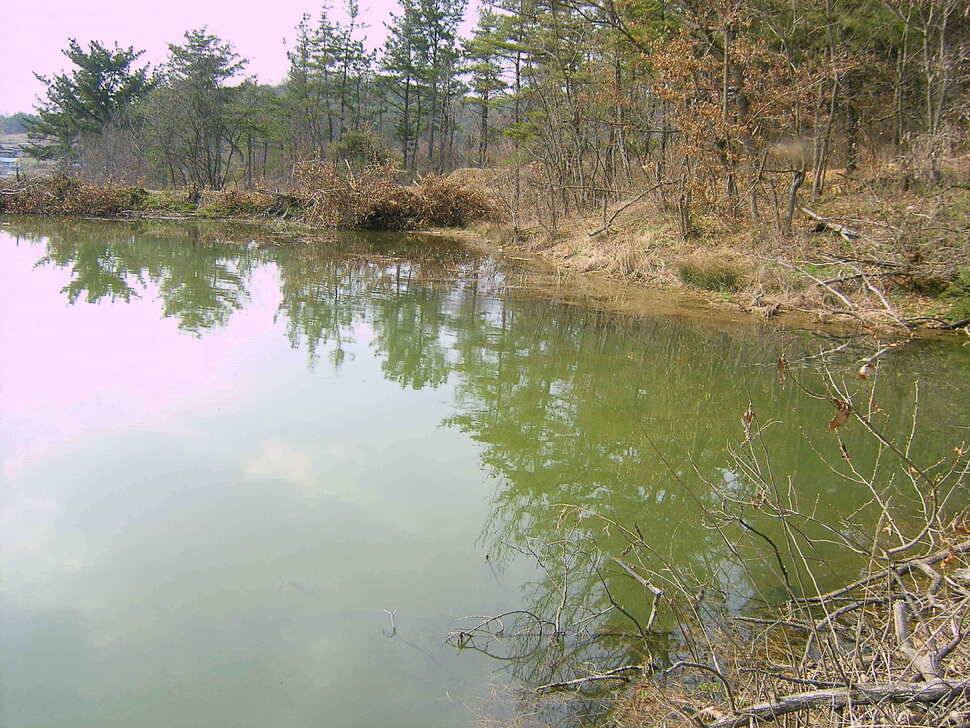 4짜 붕어 입니다 (조황조행기 - 낚시점조황)