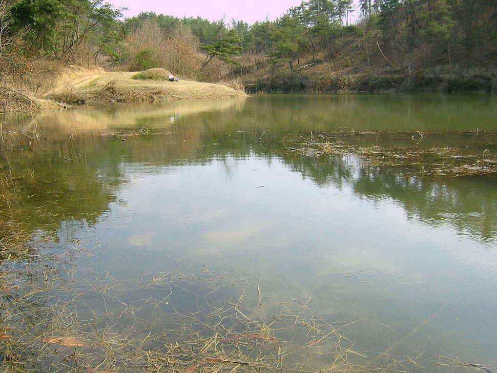 4짜 붕어 입니다 (조황조행기 - 낚시점조황)