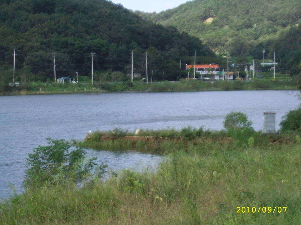 기천저수지 마릿 수 대박조황 (조황조행기 - 낚시점조황)