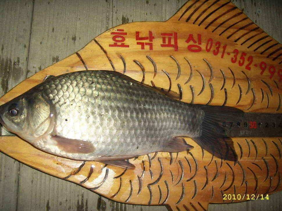 화성권 수로 탐사 (조황조행기 - 낚시점조황)