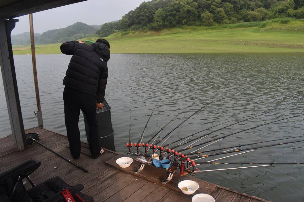 조황조행기 > 낚시점 조황 > 문골45.키다리4짜대물허리급.제일4짜 때붕어 난리가 아닙니다요 병호낚시상황 조황조행기 > 낚시점 조황 > 문골45.... 
