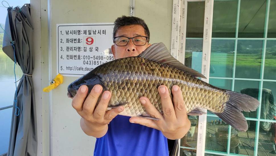 제일454짜4짜 월척과 준척 마리수 (조황조행기 - 낚시점조황)