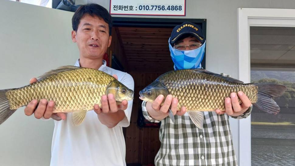 제일낚시너무많은조황키다리낚시터4짜로만 (조황조행기 - 낚시점조황)