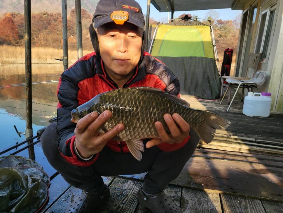 청풍호 짱가네 허리급 조황 (조황조행기 - 낚시점조황)
