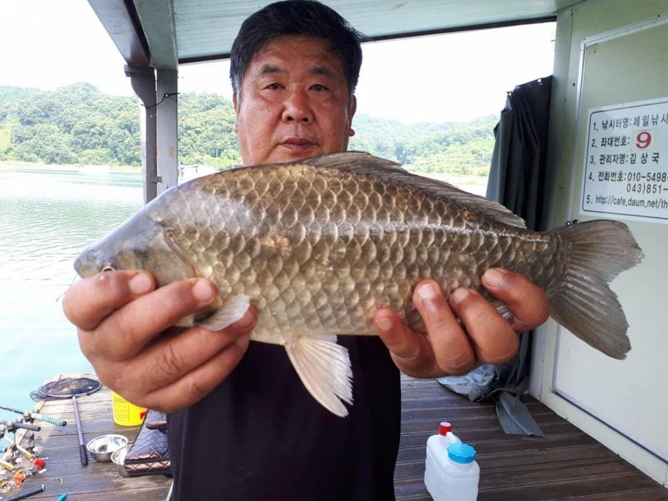 제일4짜4짜4짜4짜대물들 (조황조행기 - 낚시점조황)
