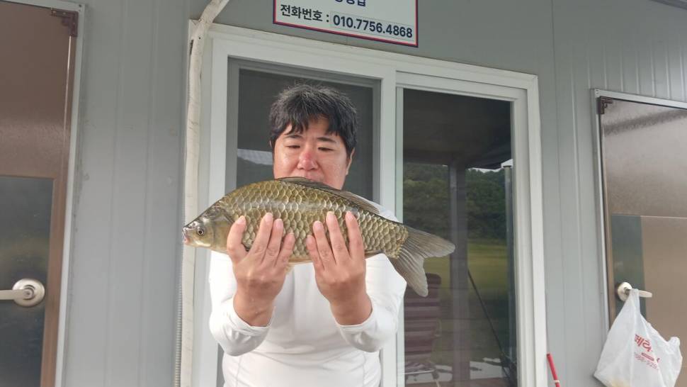 문골4짜월척제일4짜허리급월척마리수 키다리4짜허리급마리수 (조황조행기 - 낚시점조황)