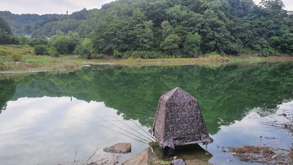 청풍호 노지 조황입니다 (조황조행기 - 낚시점조황)