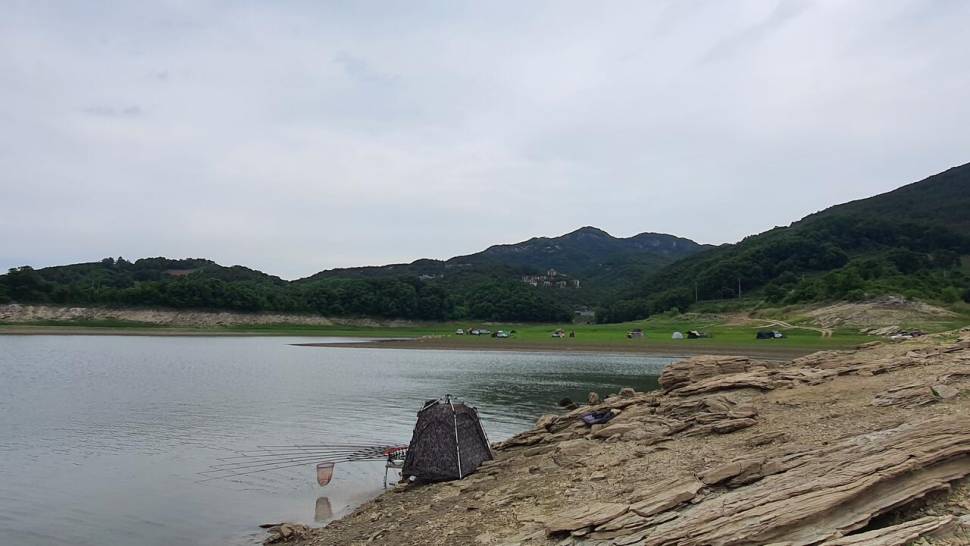청풍 노지 4짜가 나오기 시작합니다 (조황조행기 - 낚시점조황)