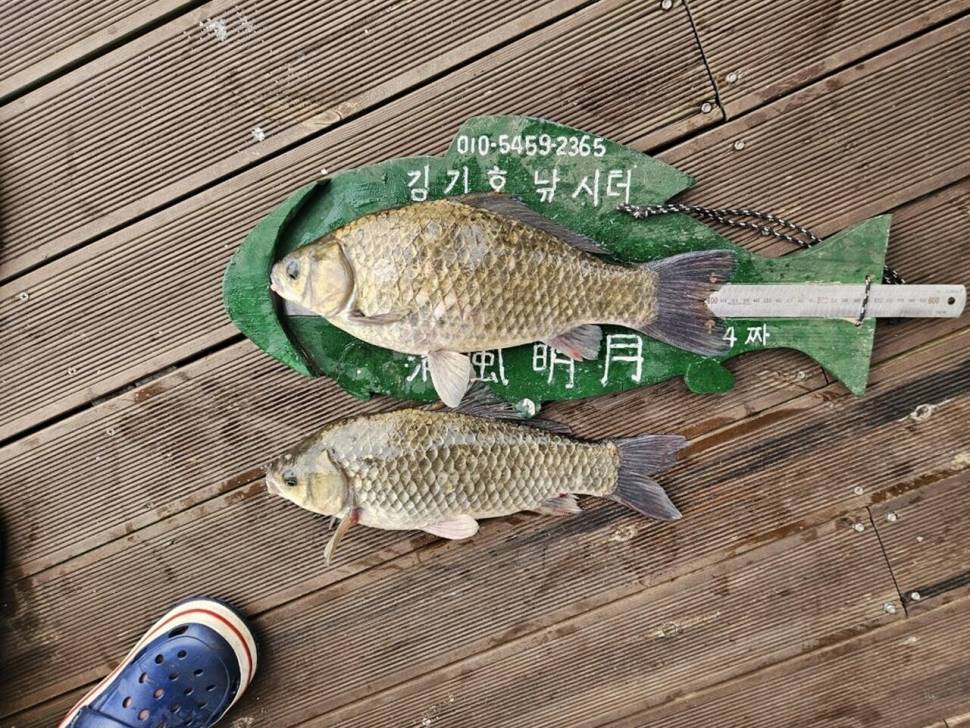 김기호낚시터4짜4짜4짜 (조황조행기 - 낚시점조황)