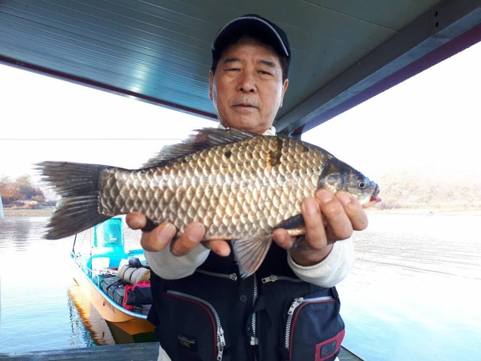 제일아쉬운39허리급 (조황조행기 - 낚시점조황)