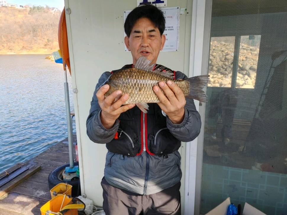 청풍호 좌대노지 조황입니다 (조황조행기 - 낚시점조황)