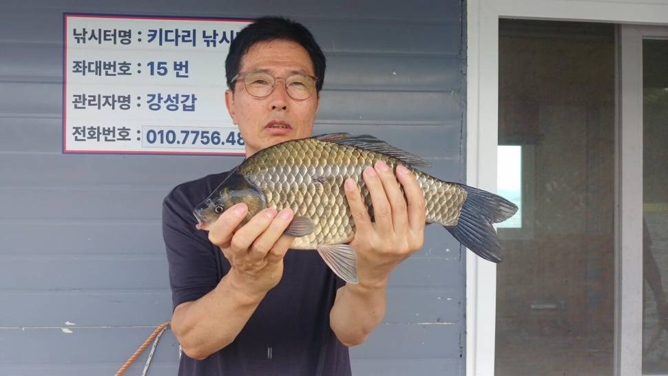 문골4짜월척제일4짜허리급월척마리수 키다리4짜허리급마리수 (조황조행기 - 낚시점조황)