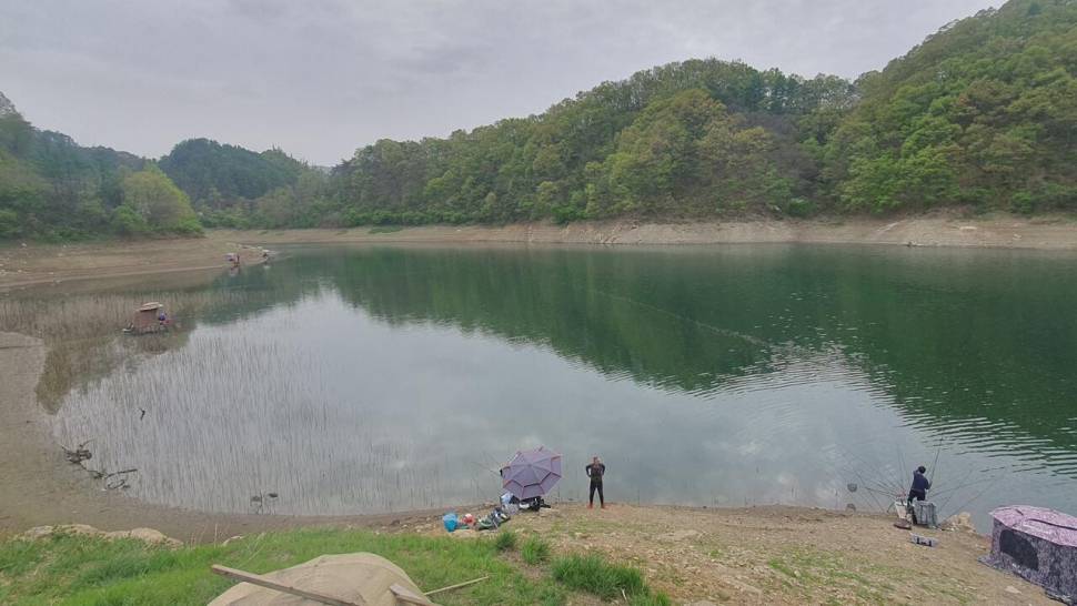 청풍호 조황 소식 (조황조행기 - 낚시점조황)