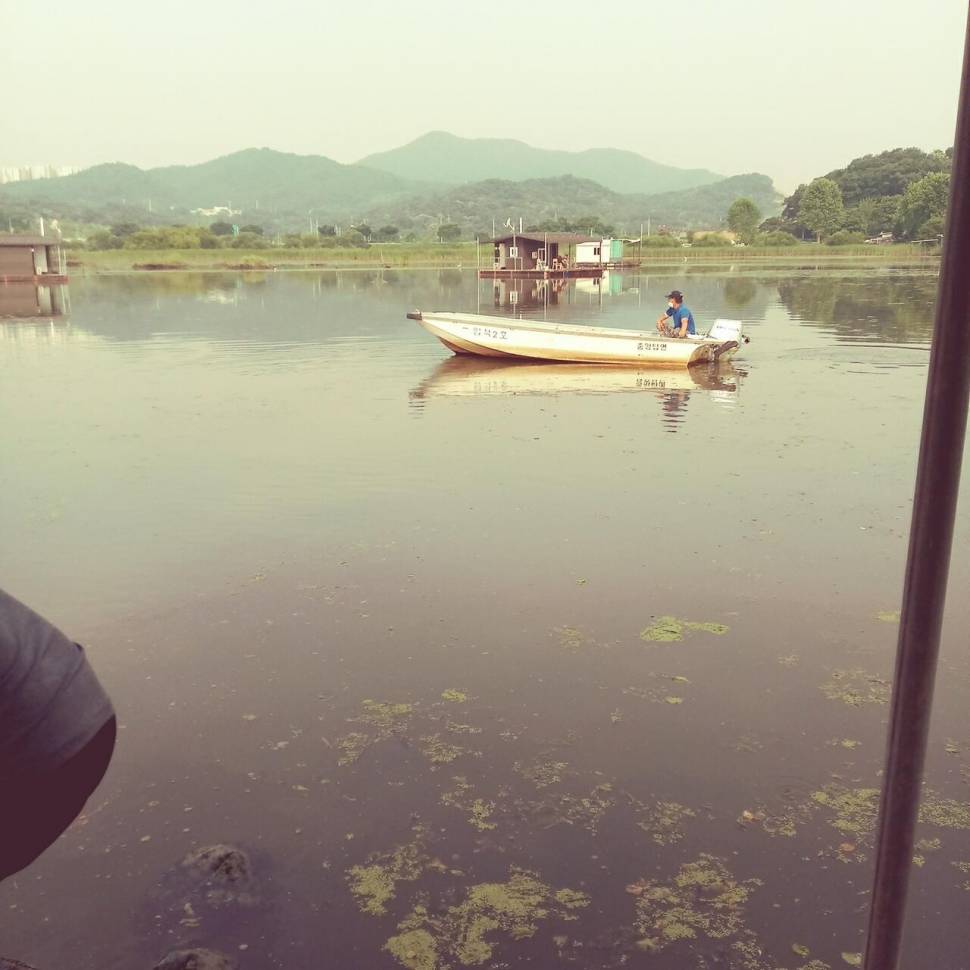 충주탄금호낚시조황 (조황조행기 - 낚시점조황)