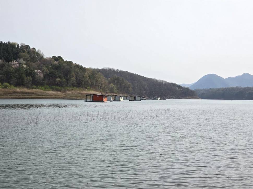 충주호제일44 37 (조황조행기 - 낚시점조황)