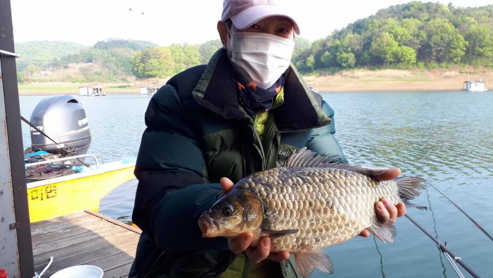 제일41허리급내사리권좌대들 윤병호문골늘푸른 상황보고 (조황조행기 - 낚시점조황)