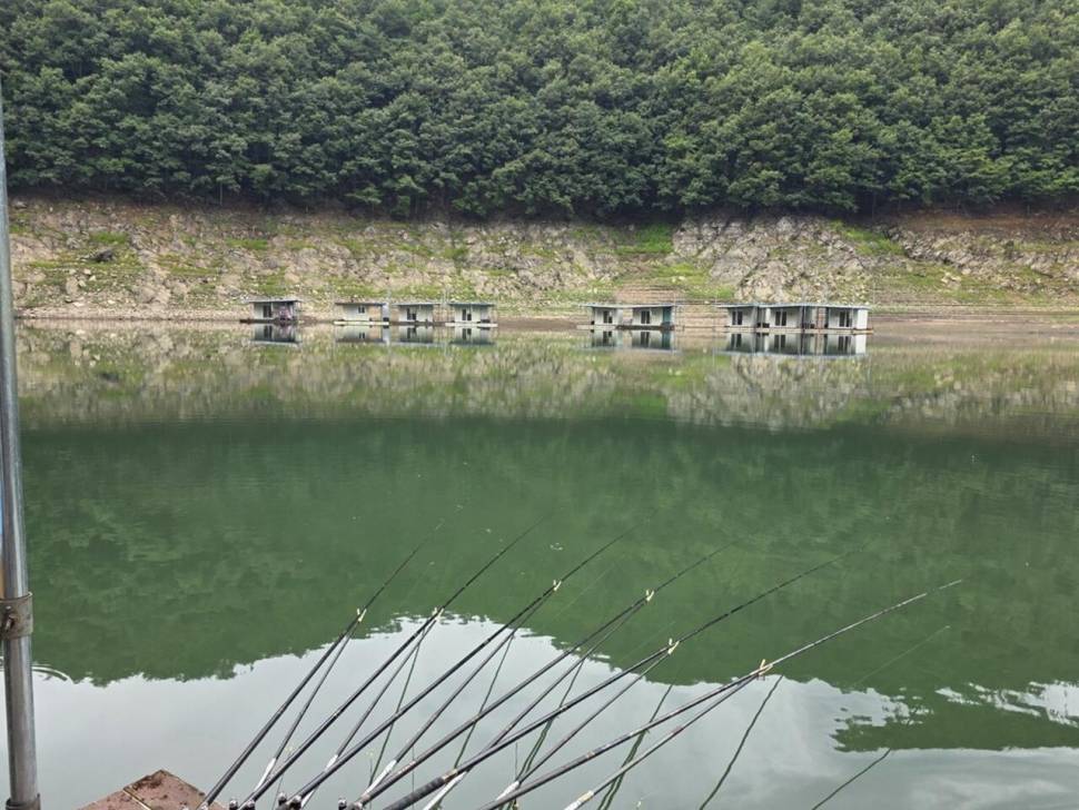덕곡4짜 허리급 꾸준한키다리낚시터 허리급월척 (조황조행기 - 낚시점조황)