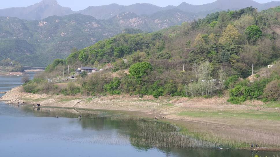 청풍호 조황 소식 (조황조행기 - 낚시점조황)