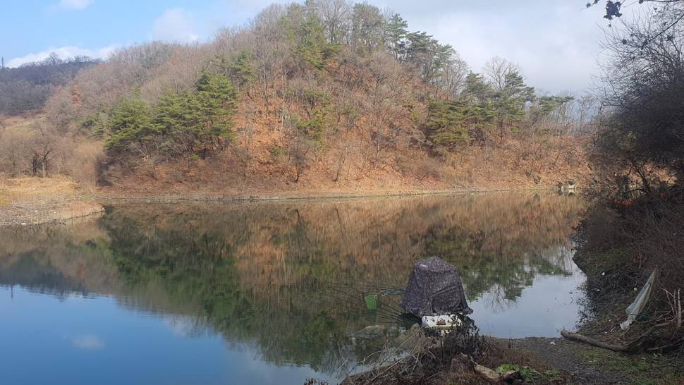 청풍호 좌대노지 조황입니다 (조황조행기 - 낚시점조황)